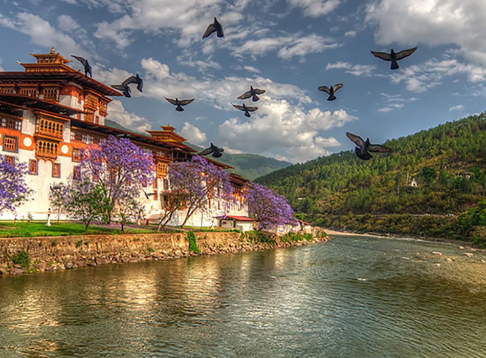 Punakha Tshechu Tour