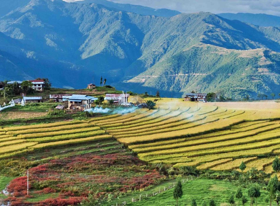 RADHI VILLAGE